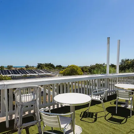 Oliwood - Amadeus 올리바