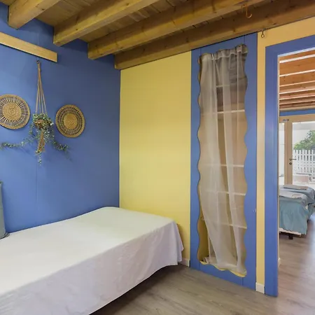 Oliwood - Amadeus 펜션 *