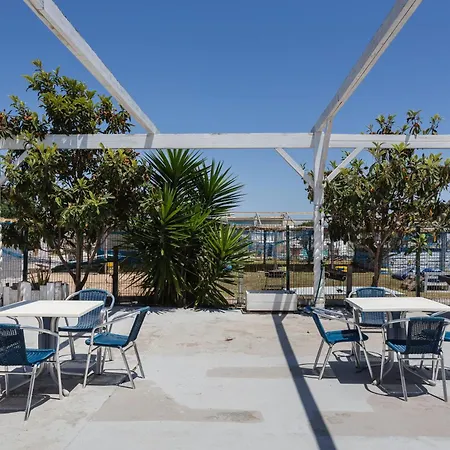 Oliwood - Amadeus Oliva