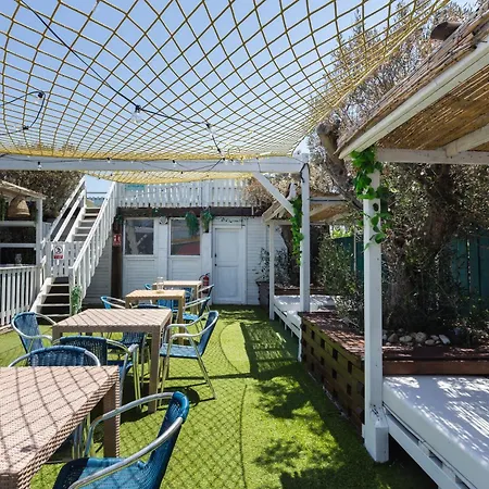 Oliwood - Amadeus Ferienhaus *