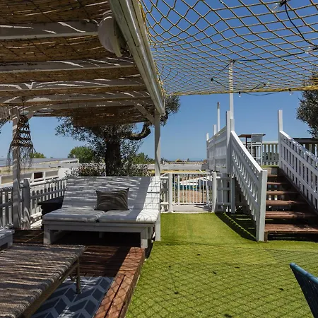 Oliwood - Amadeus * Oliva