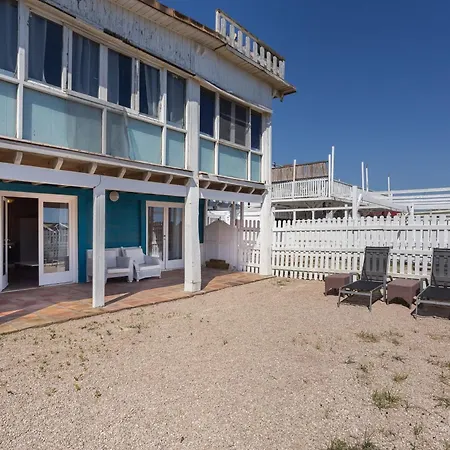 Oliwood - Amadeus Oliva