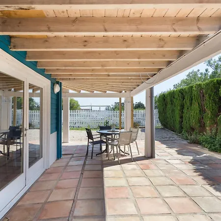 Oliwood - Amadeus * Oliva