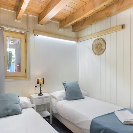 Oliwood - Amadeus * Oliva