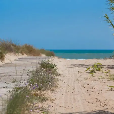 Oliwood - Amadeus Oliva