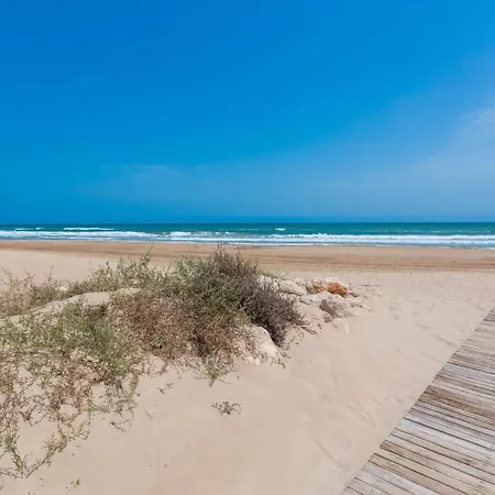 Oliwood - Amadeus Oliva